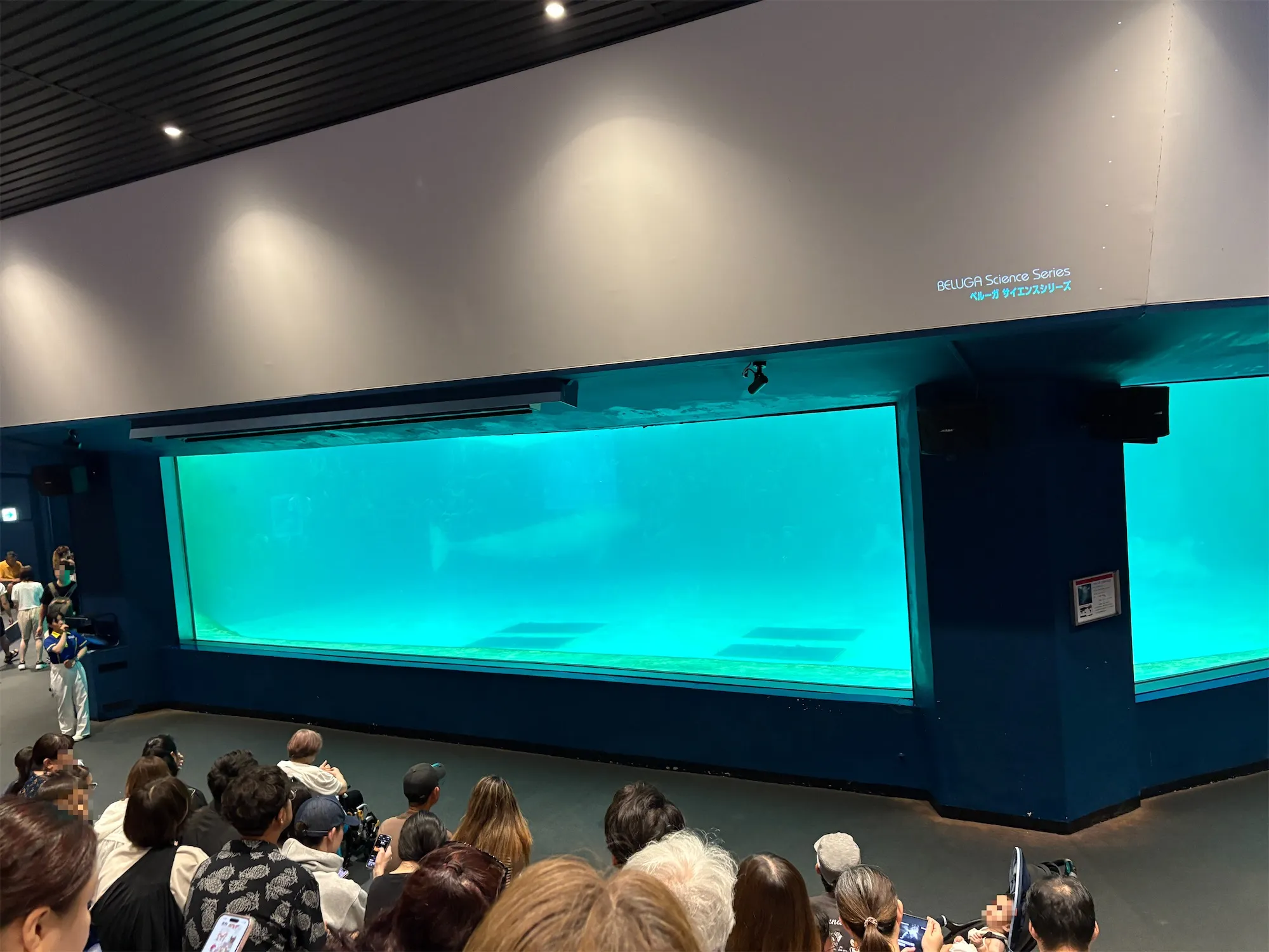 ベルーガの会場、マリンシアター